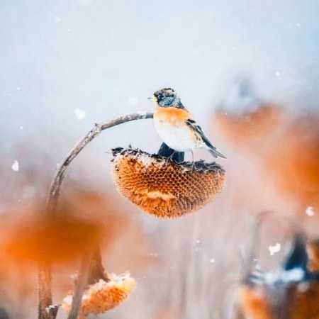 مهستی ( ورژن هوش مصنوعی ) اگه می خواد بگیره خداکنه بمیره