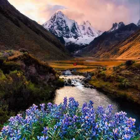 مهستی ( ورژن هوش مصنوعی ) شدی تو عشق دلپسندم