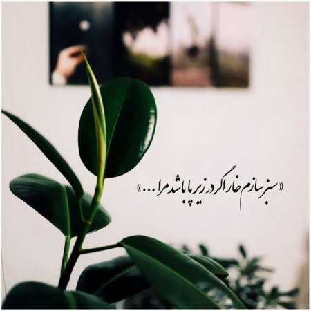 مهستی ( ورژن هوش مصنوعی ) بی وفایی دیدم 