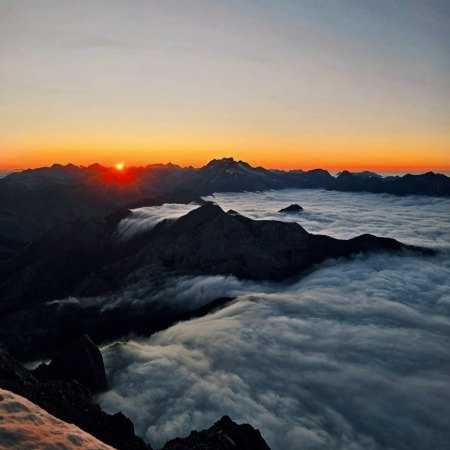 مهستی ( ورژن هوش مصنوعی ) گل پژمرده تو گلدون دیگه جایی نداره