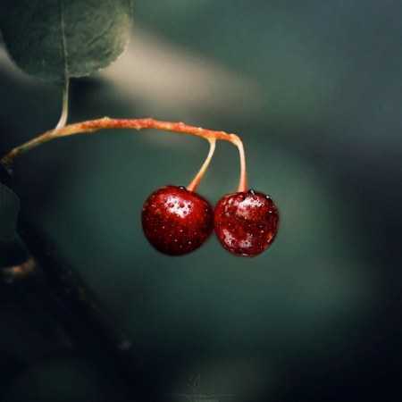 مهستی ( ورژن هوش مصنوعی ) منم که در محبت سر از پا نشناختم 