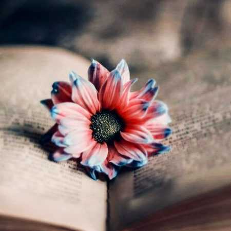 مهستی ( ورژن هوش مصنوعی ) میدونی کی شدی ماه شبم