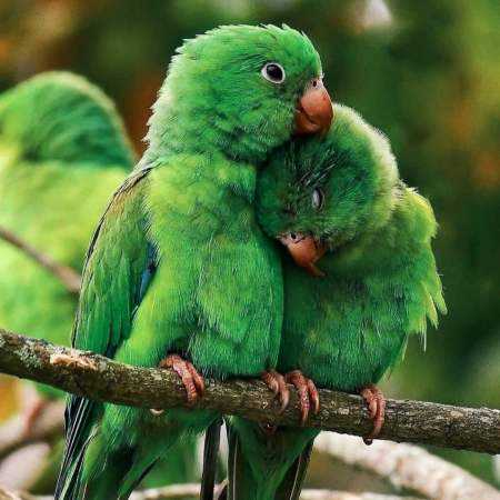 مهستی ( ورژن هوش مصنوعی ) میکشی یه روز منو با چشات مغرور جذاب