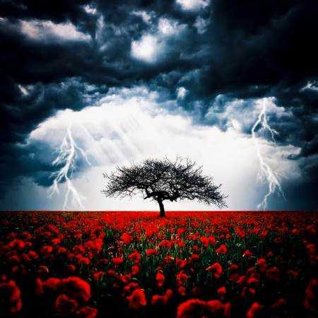 مرجان ( ورژن هوش مصنوعی ) بی تو منو و زمزمه های خسته