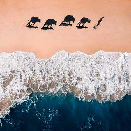 مرجان ( ورژن هوش مصنوعی ) غریبه تو از راه دور اومدی