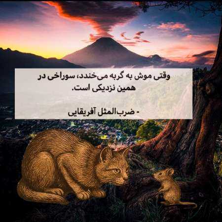 شکیلا ( ورژن هوش مصنوعی ) لطفی ای ساقی که ما محتاج یک پیمانه ایم