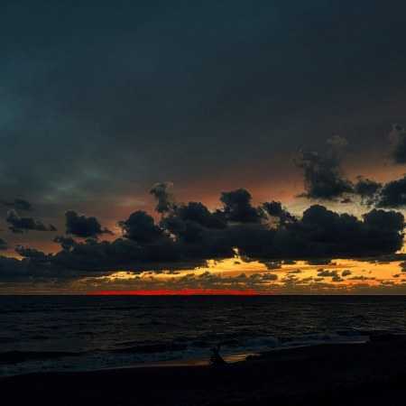 سوسن ( ورژن هوش مصنوعی ) پناهی بهتر از می و جام نیست