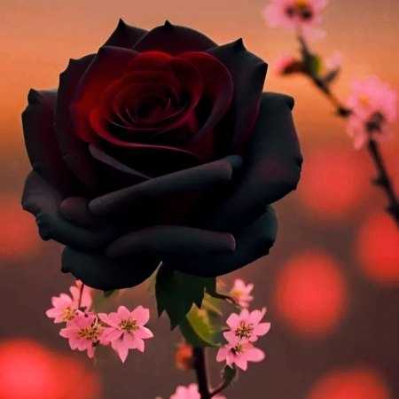 وقتش شده بگم خیلی عاشقت شدم هوش مصنوعی 