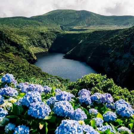 دلکش ( ورژن هوش مصنوعی ) دلم ای دل غافل نذار تنها بمونی