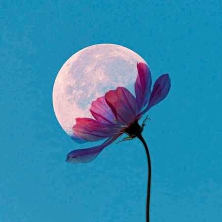 گوگوش ( ورژن هوش مصنوعی ) با جوهر عشق ما رو نوشتن