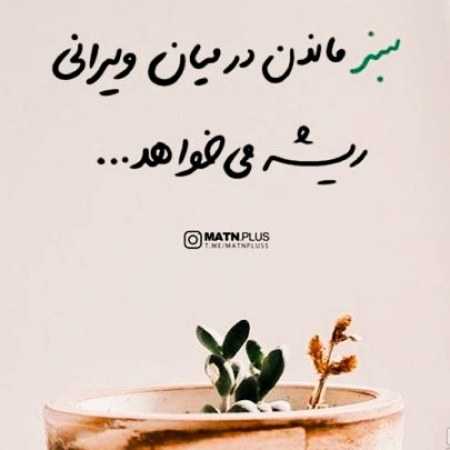 گوگوش ( ورژن هوش مصنوعی ) اون که خیلی قصه داره