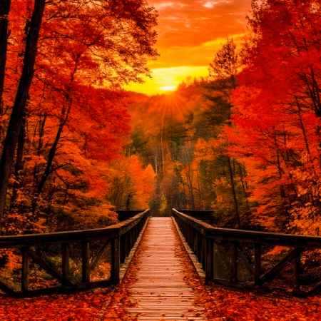 هایده ( ورژن هوش مصنوعی ) چرا نگفتم عاشقت شدم 