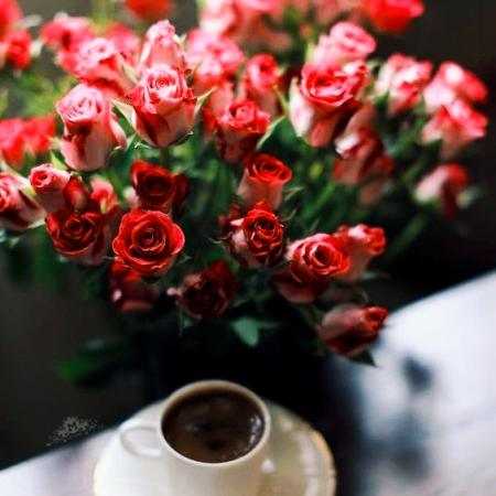 هایده ( ورژن هوش مصنوعی ) قسم به عشقمون قسم