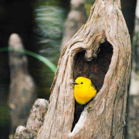 هایده ( ورژن هوش مصنوعی ) حالا که پشت پا زدن