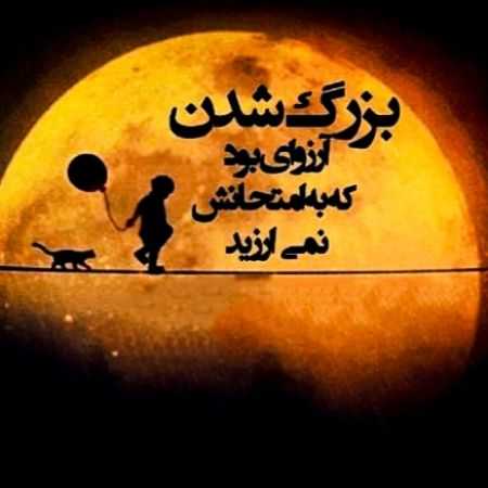 هایده ( ورژن هوش مصنوعی ) نه اینکه باغبون نیست