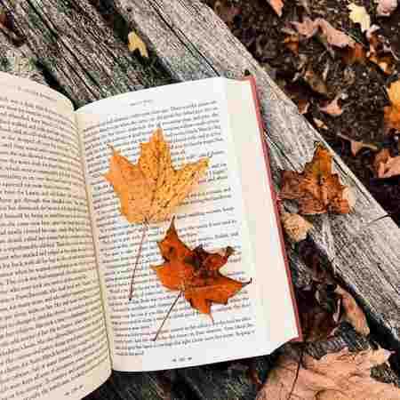 هایده ( ورژن هوش مصنوعی ) نگاه منتظر به در 