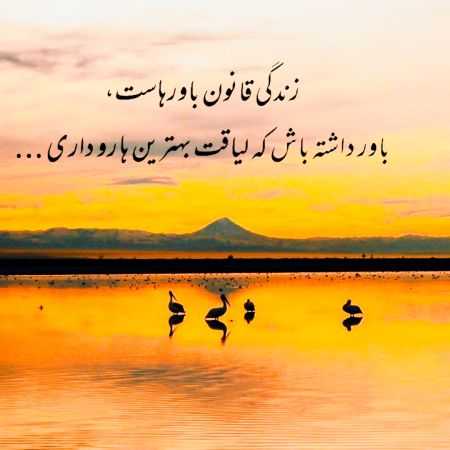 هایده ( ورژن هوش مصنوعی ) اون گذاشت رفت درست وقتی وابستم کرد