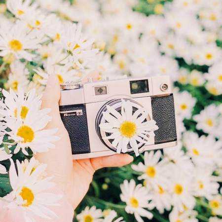 هایده ( ورژن هوش مصنوعی ) تو دلتنگی دنیا باهات عشقو شناختم