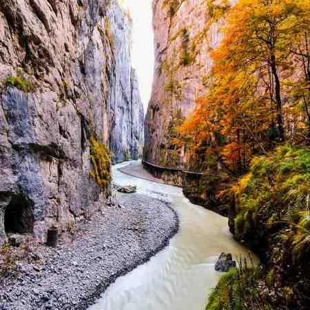 هایده ( ورژن هوش مصنوعی ) یه انقلابی تو این حال بیمار من شو