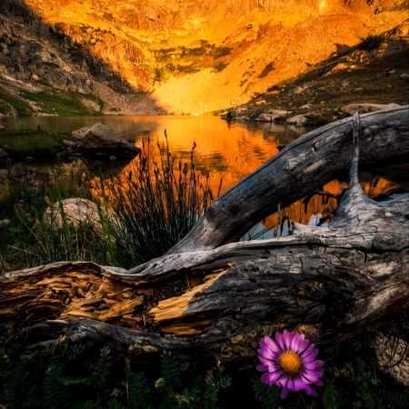 هایده ( ورژن هوش مصنوعی ) زخمی ک زدی ب قلب من