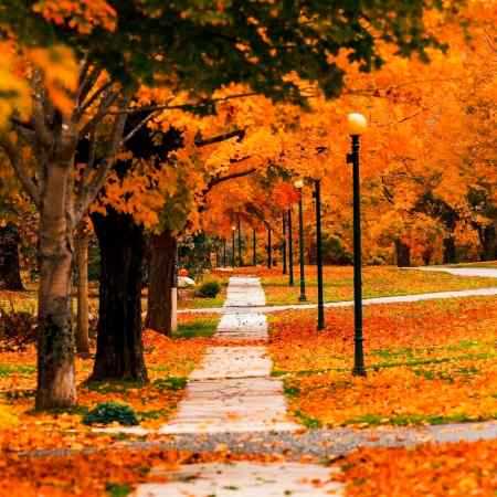 حمیرا ( ورژن هوش مصنوعی ) دلم آنگاه خوش گردد