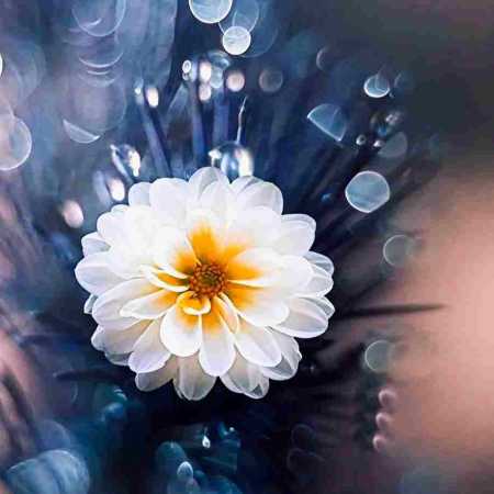 حمیرا ( ورژن هوش مصنوعی ) فقط یه روز عادیه