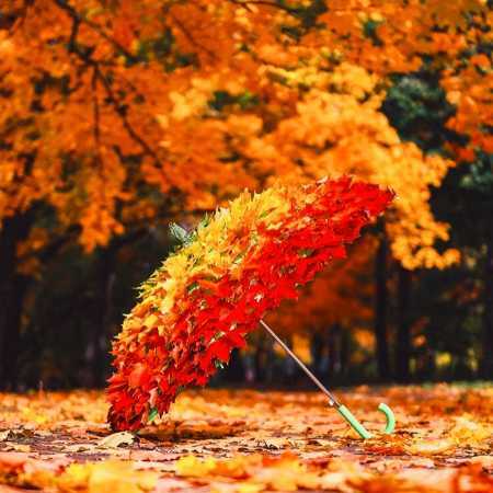 مهستی ( ورژن هوش مصنوعی ) پاییز امسال