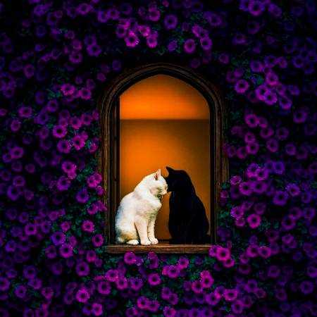 مهستی ( ورژن هوش مصنوعی ) عزیزم عاشقی دل پاکی می خواد