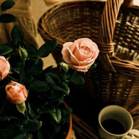 مهستی ( ورژن هوش مصنوعی ) به هیشکی جز تو کار ندارم