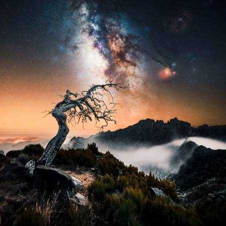 معین ( ورژن هوش مصنوعی ) راس راسی خیلی حرفه