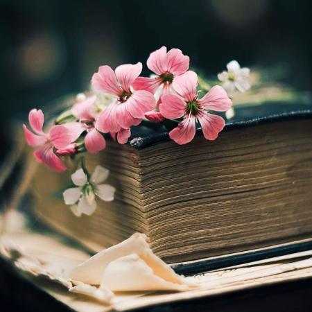 پوران ( ورژن هوش مصنوعی ) من میریزم بر ساغر جان