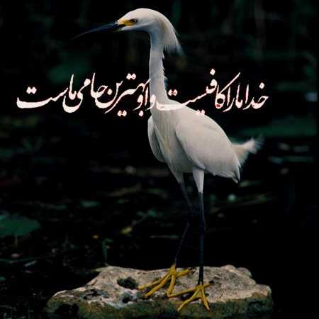 سیمین ( ورژن هوش مصنوعی ) چه کنم عشقی غیر از تو نخواهم