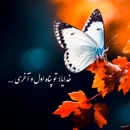 دانلود آهنگ هایده ( ورژن هوش مصنوعی ) حال بدم