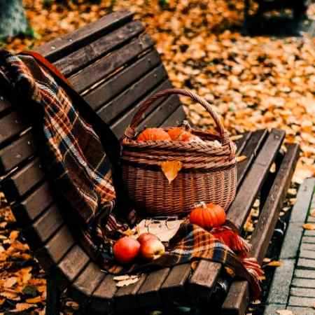 گوگوش ( ورژن هوش مصنوعی ) هر صدایی که صدا نیست