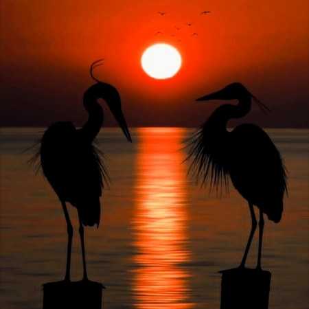 گوگوش ( ورژن هوش مصنوعی ) نه رد شیم از تو این بن بست