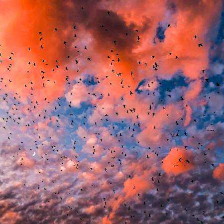 گوگوش ( ورژن هوش مصنوعی ) توان رفتن از ما می گریزد