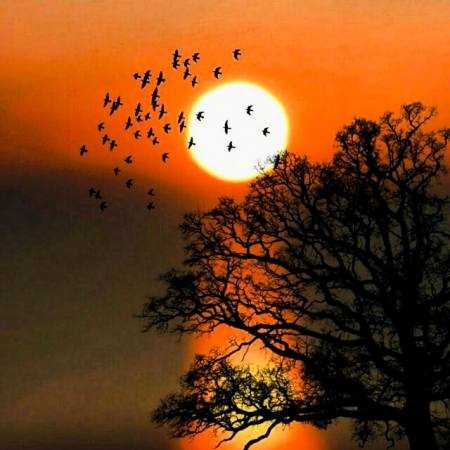 گوگوش ( ورژن هوش مصنوعی ) تو زندونم با تو من آزادم