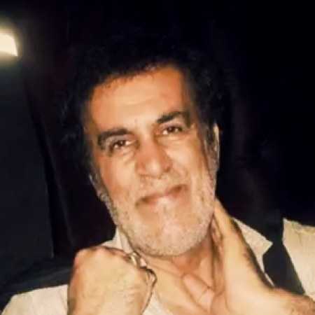 حبیب ( ورژن هوش مصنوعی ) پر شده لحظه های من