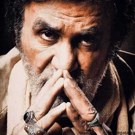 حبیب ( ورژن هوش مصنوعی ) سر آن ندارد امشب