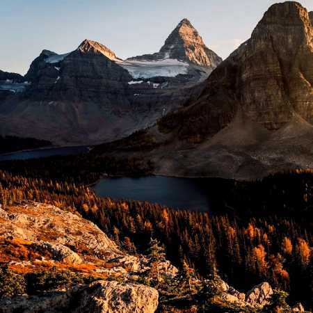‎همه برن تو میمونی تو رفیق روزای سختی هوش مصنوعی 
