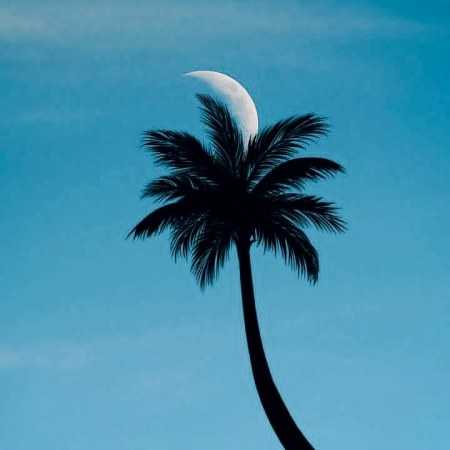 هایده ( ورژن هوش مصنوعی ) از حالا دیگه من مردم