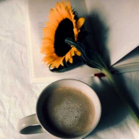 هایده ( ورژن هوش مصنوعی ) بد قول