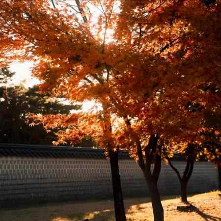 هایده ( ورژن هوش مصنوعی ) باهام عهد اگه بستی