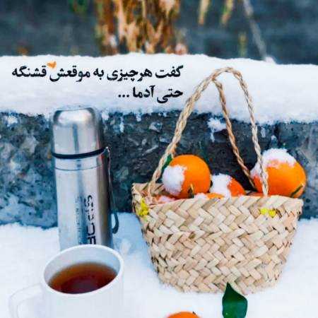 هایده ( ورژن هوش مصنوعی ) به یادش باده می نوشم