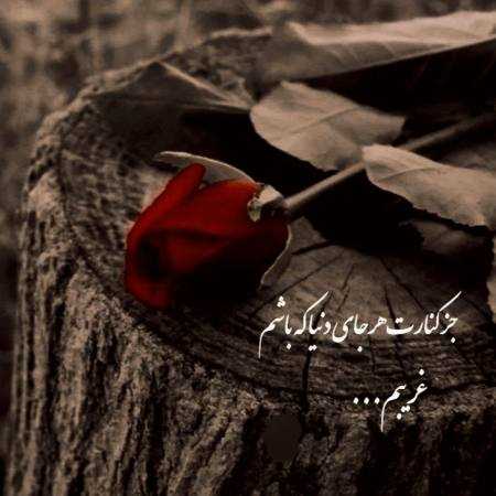 هایده ( ورژن هوش مصنوعی ) دلبر جان تیسه بیمه گوشه گیر