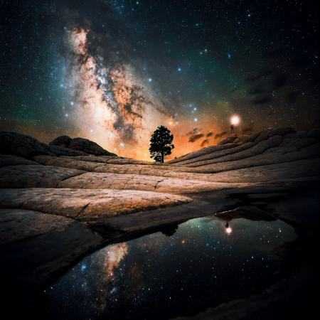 هایده ( ورژن هوش مصنوعی ) دیدی سر ذوق اومد