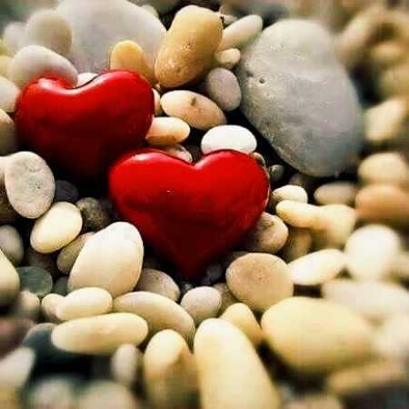 هایده ( ورژن هوش مصنوعی ) دیگه بی تو تو دنیا