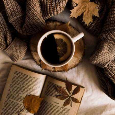 هایده ( ورژن هوش مصنوعی ) ای قبله من