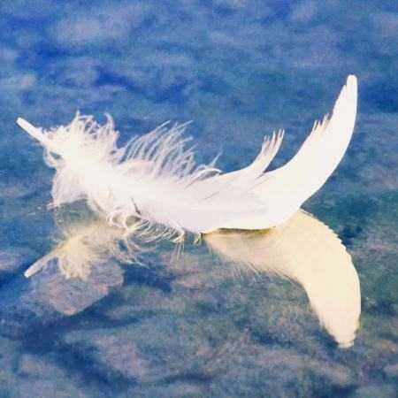 هایده ( ورژن هوش مصنوعی ) حالا که از ما گذشت