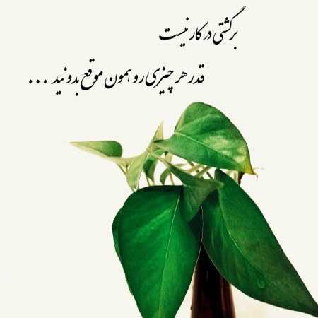 هایده ( ورژن هوش مصنوعی ) همه حرفاتو به من خوبه که میگی